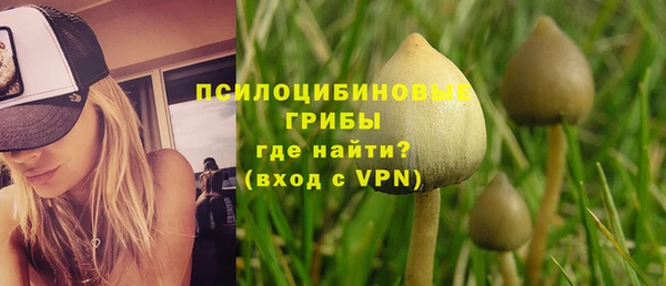 apvp Алексеевка