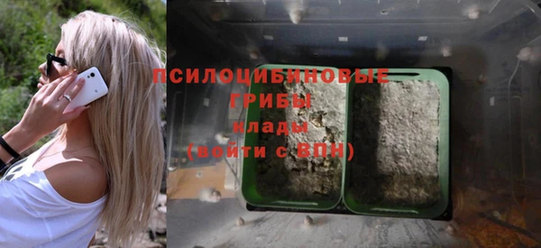 прущая мука Алзамай