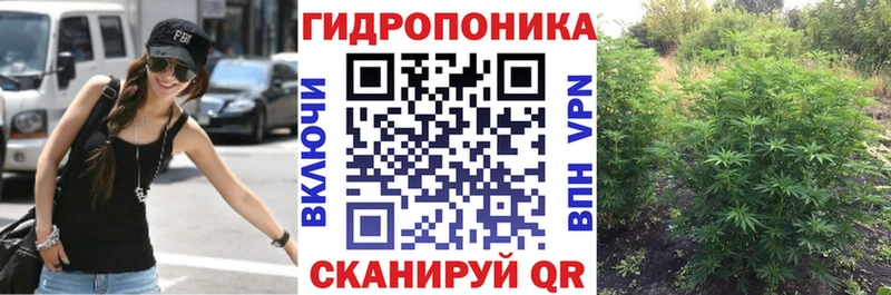 даркнет сайт  Опочка  Бошки Шишки гибрид 